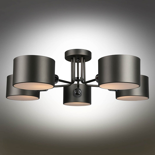 Потолочная люстра Omnilux Lisera OML-54507-05 изображение 5 Потолочная люстра Omnilux Lisera OML-54507-05 Фото № 5