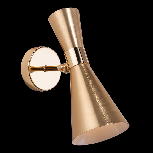 Спот Lightstar Dumo 816611 изображение 2 Спот Lightstar Dumo 816611 Фото № 2